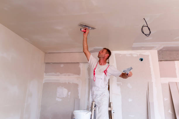 Best Drywall for Remodeling  in Hollis, OK